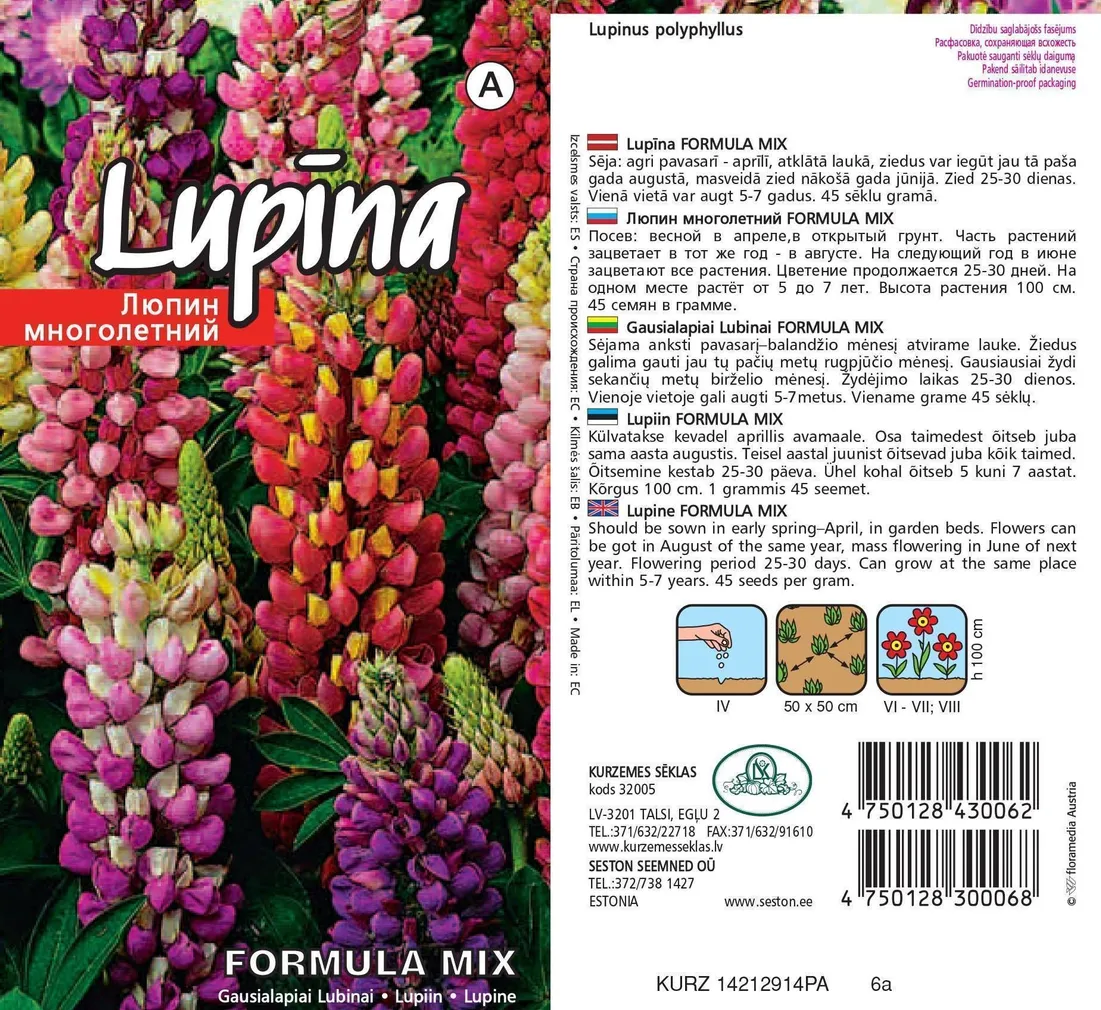 LILLESEEMNED KURZEMES SEKLAS LUPIIN RUSSELL FORMULA 1G