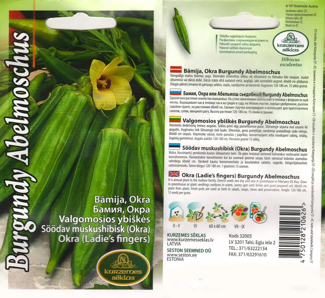 KÖÖGIVILJASEEMNED KURZEMES SEKLAS OKRA 1G