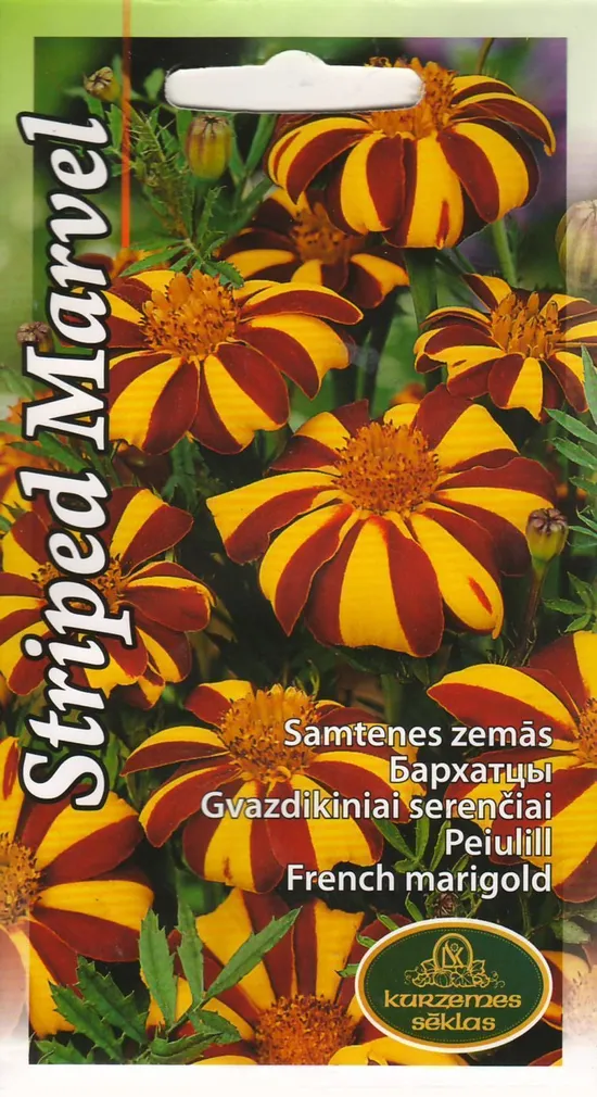 LILLESEEMNED KURZEMES SEKLAS PEIULILL STRIPED 0,3G