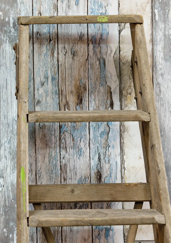 TAPEET EXPOSED PE-10-01-2 0,53X10,05M PUIT