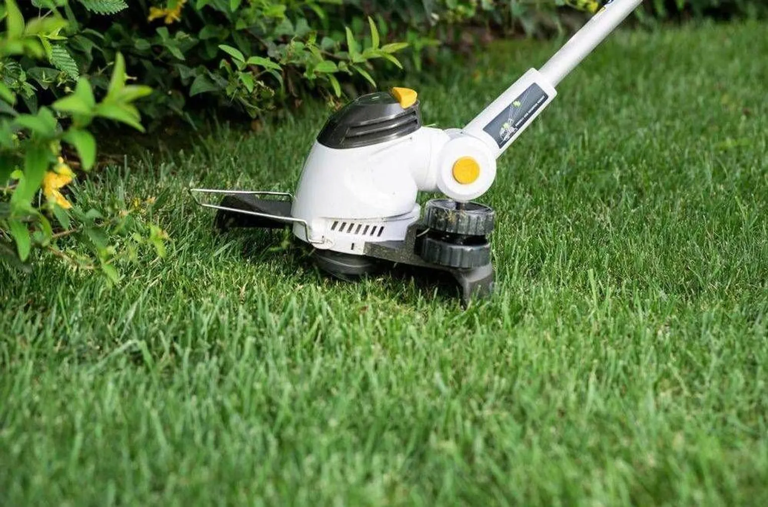 AKUTRIMMER ALPINA T3048 LI 48 V ILMA AKU JA LAADIJATA