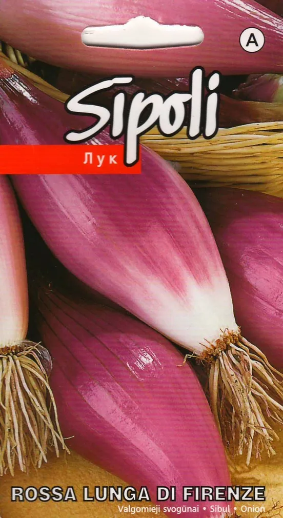 SEEMNED SIBUL KURZEMES SEKLAS 'ROSSA LUNGA DI FIRENZE' ROOSA 2G