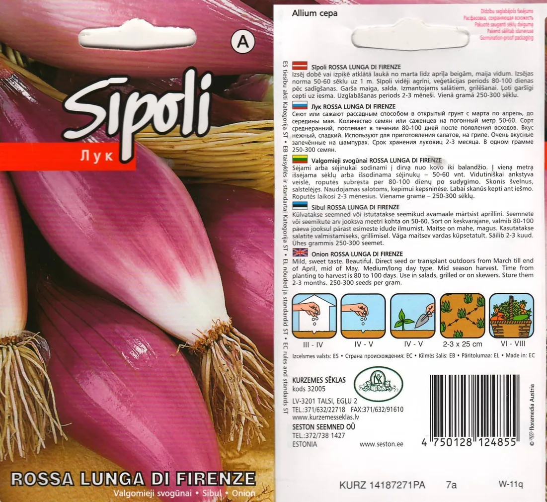 SEEMNED SIBUL KURZEMES SEKLAS 'ROSSA LUNGA DI FIRENZE' ROOSA 2G