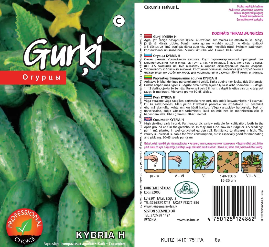 SEEMNED KURZEMES SEKLAS KURK 'KYBRIA H' PARTENOKARPNE, AVAMAALE 15S