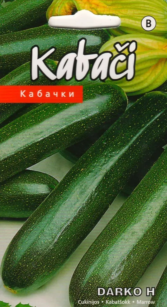 SEEMNED KURZEMES SEKLAS KABATŠOKK 'DARKO H' TUMEROHELINE 5 S