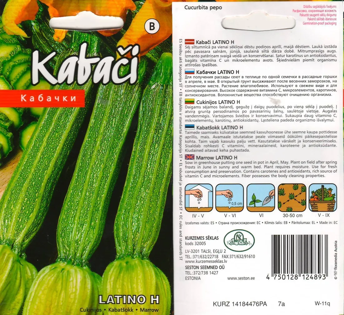 SEEMNED KURZEMES SEKLAS KABATŠOKK 'LATINO H' TRIIBULINE 5S