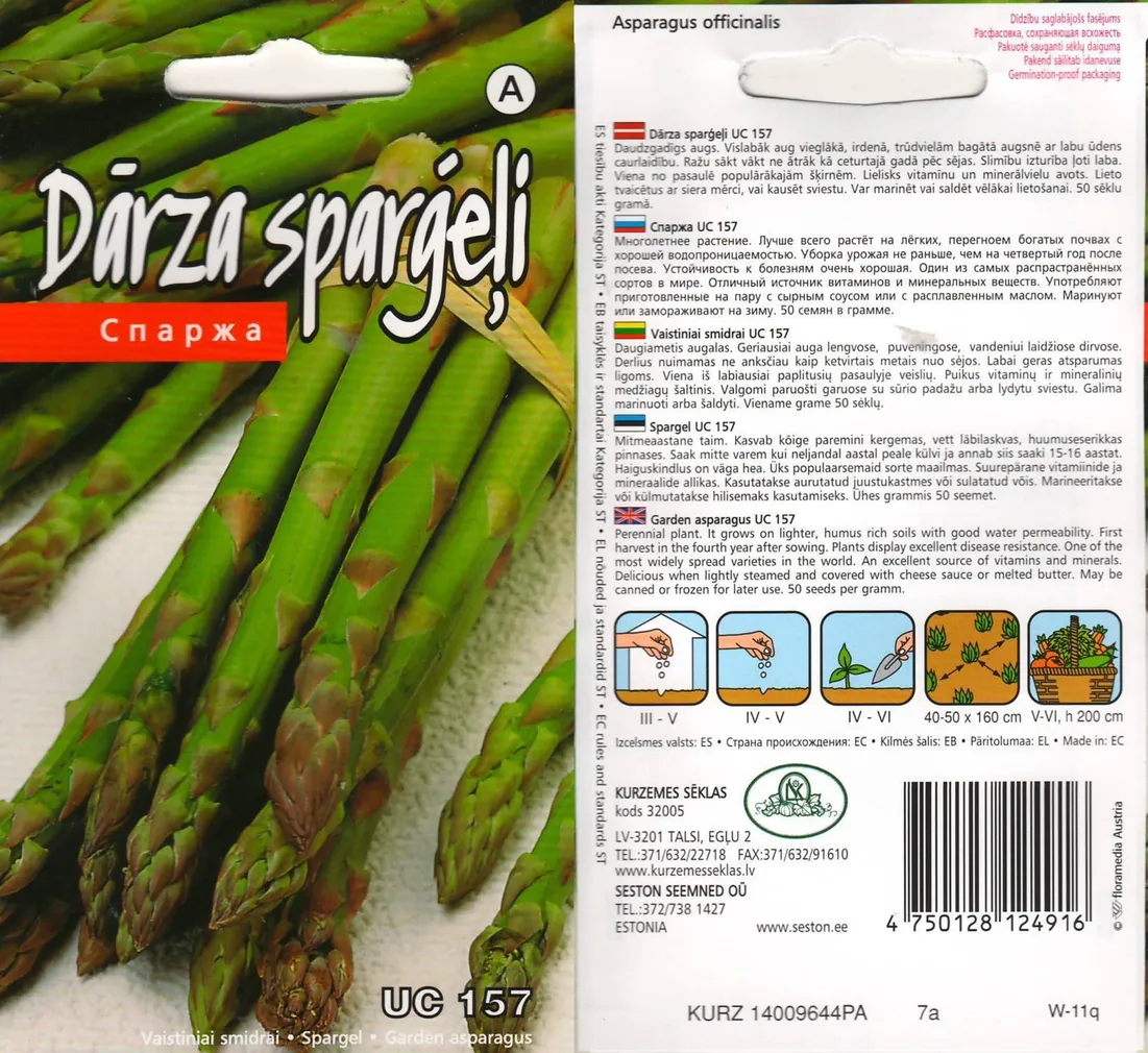 SEEMNED KURZEMES SEKLAS SPARGEL 'UC 157' 2G