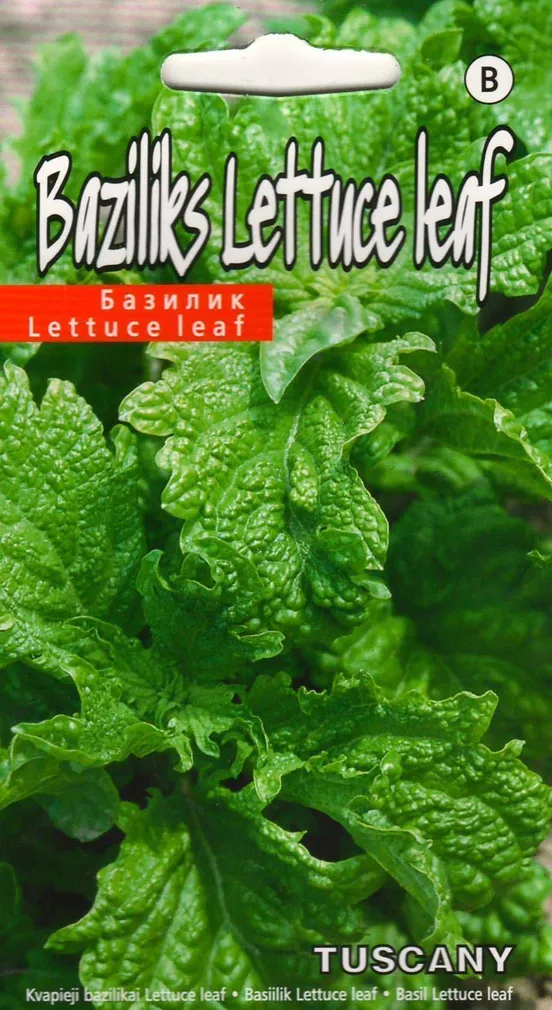 SEEMNED KURZEMES SEKLAS BASIILIK 'LETTUCE LEAF TUSCANY' 1G