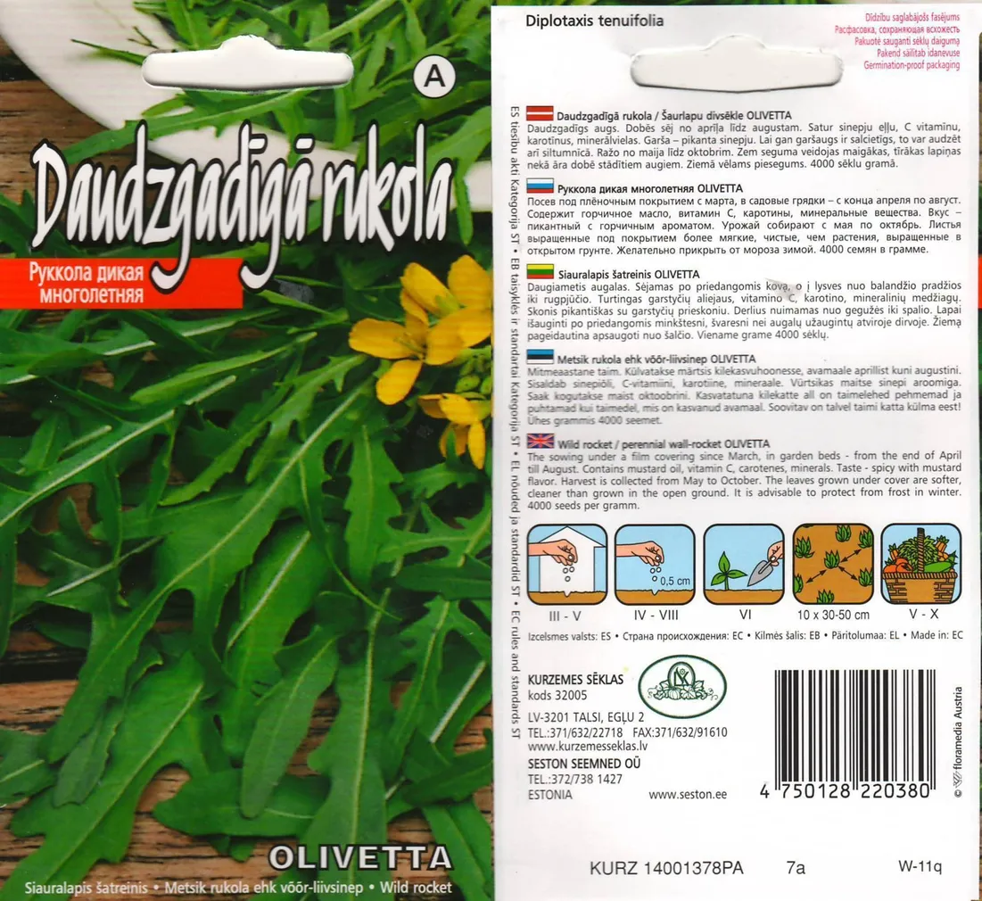 SEEMNED KURZEMES SEKLAS METSIK RUKOLA EHK VÕÕR-LIIVSINEP OLIVETTA 1G