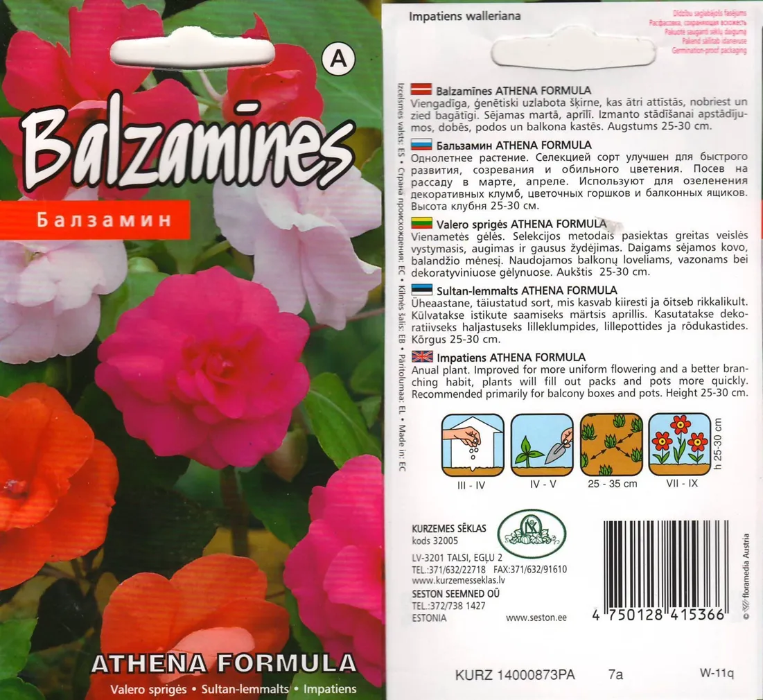 LILLESEEMNED KURZEMES SEKLAS SULTAN-LEMMALTS 'ATHENA FORMULA' TÄIDISÕIELINE