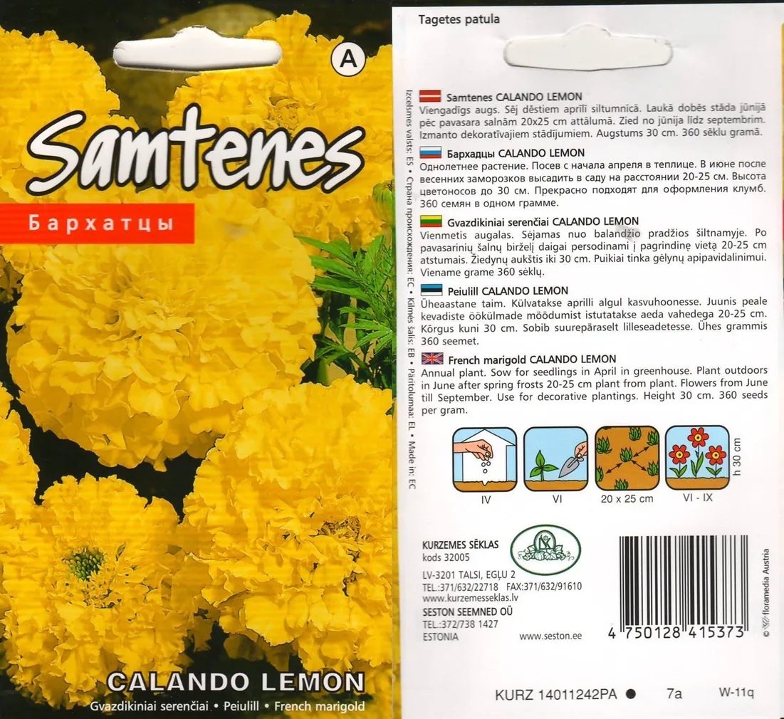 LILLESEEMNED KURZEMES SEKLAS PEIULILL 'CALANDO LEMON' KOLLANE TÄIDISÕIELINE