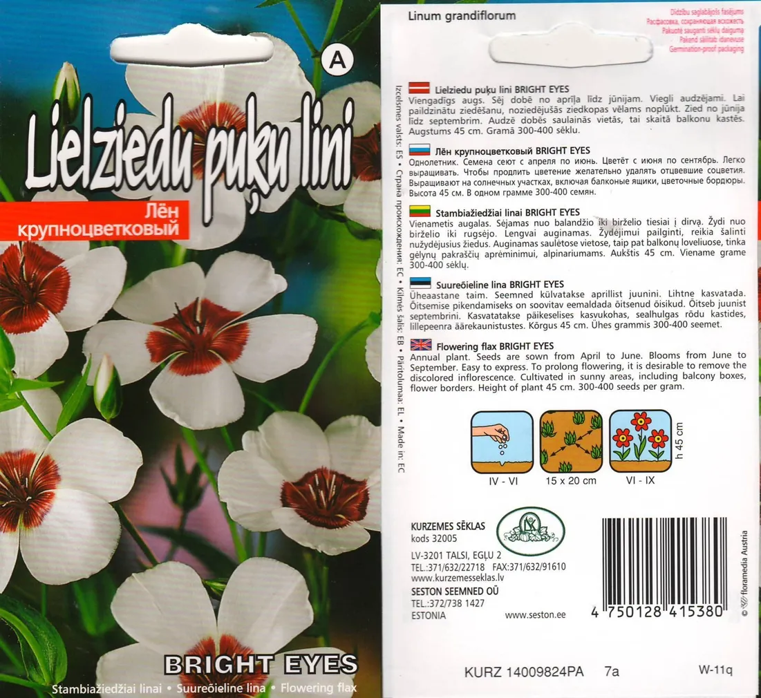 LILLESEEMNED KURZEMES SEKLAS SUUREÕIELINE 'LINA BRIGHT EYES' 0,5G