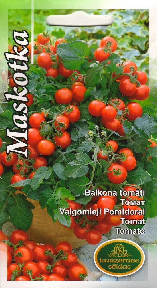 SEEMNED KURZEMES SEKLAS TOMAT 'MASKOTKA' PUNANE POTITOMAT 0,1 G