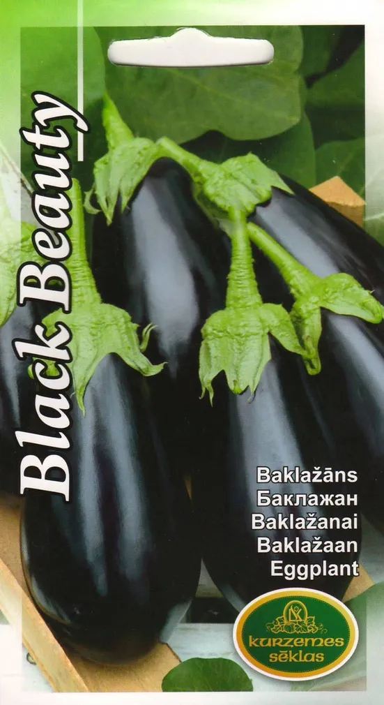 SEEMNED KURZEMES SEKLAS BAKLAŽAAN BLACK BEAUTY 0,2 G