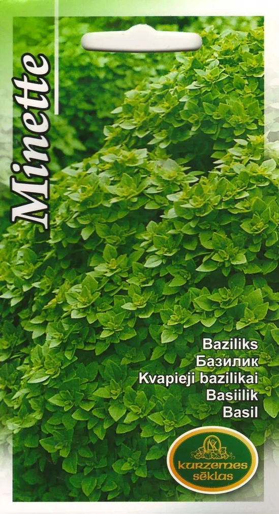 SEEMNED KURZEMES SEKLAS BASIILIK MINETTE 0,3 G
