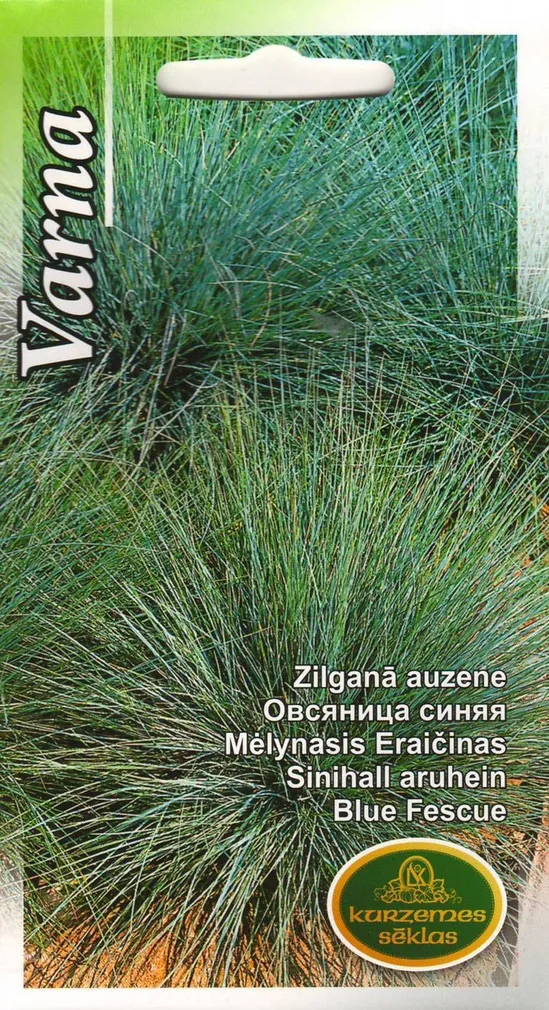 LILLESEEMNED KURZEMES SEKLAS SINIHALL ARUHEIN VARNA 0,2 G