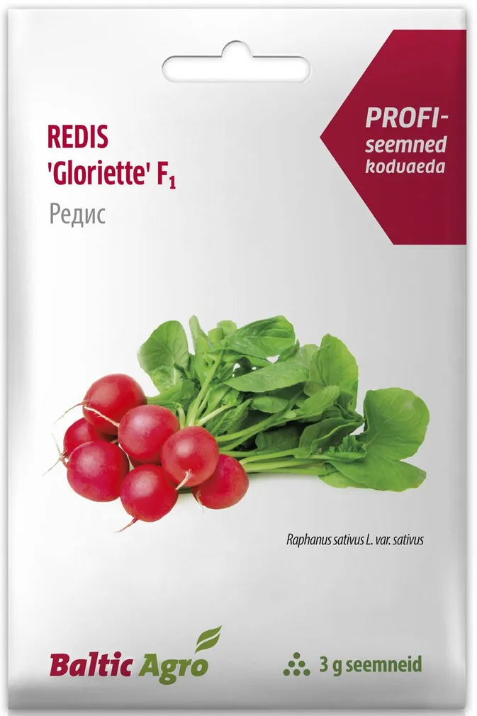 SEEMNED BALTIC AGRO REDIS "GLORIETTE" F1 SUUR KERAJAS 3G