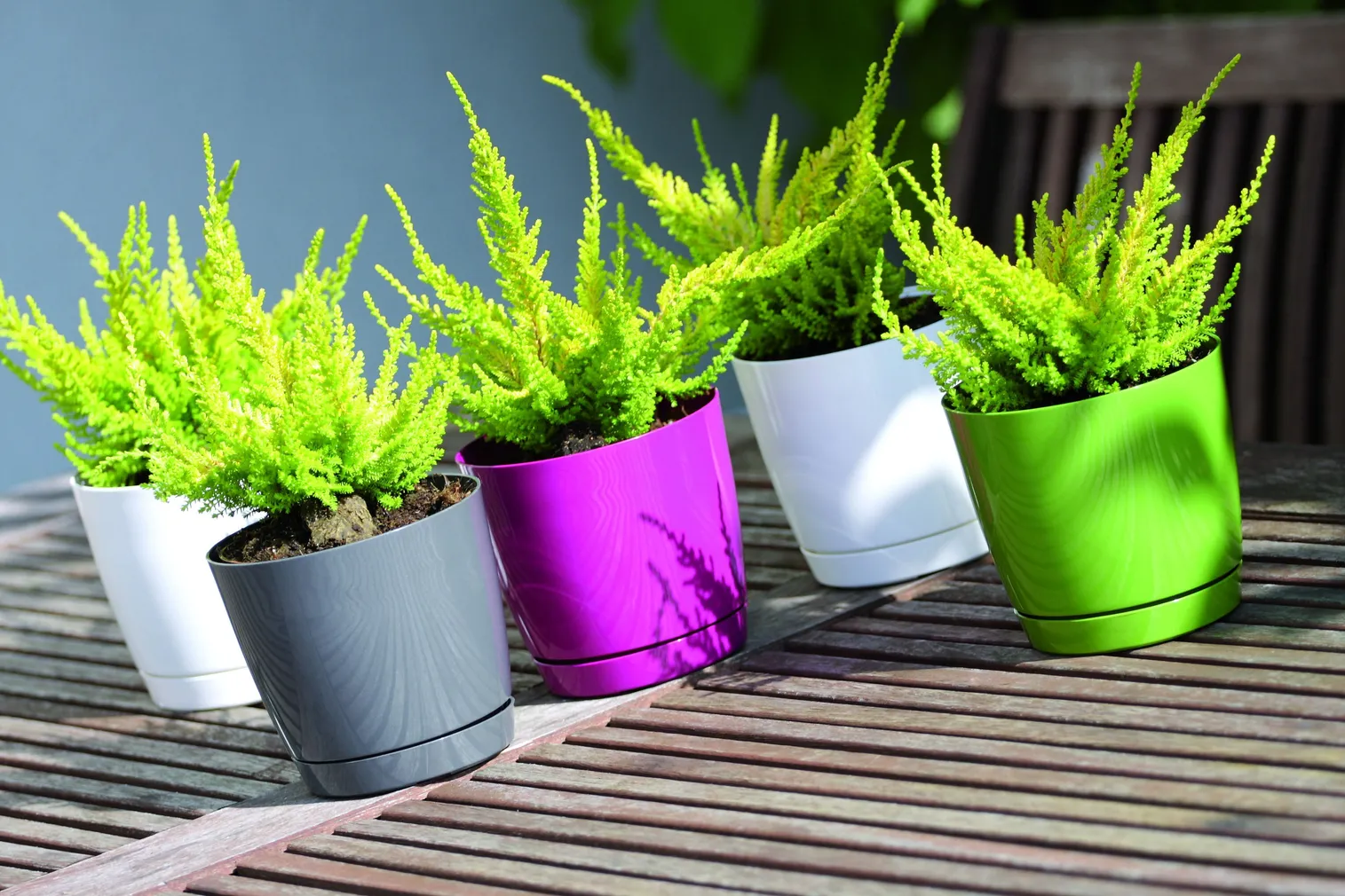 ALUSTALDRIKUGA LILLEPOTT PROSPERPLAST COUBI PLASTIK DIAMEETER 15,5CM OLIIV