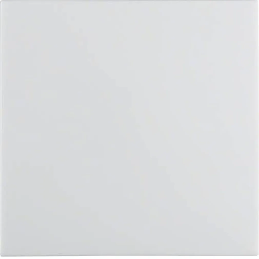 ÜHENE VEKSELLÜLITI BERKER S.1 RAAMITA VALGE