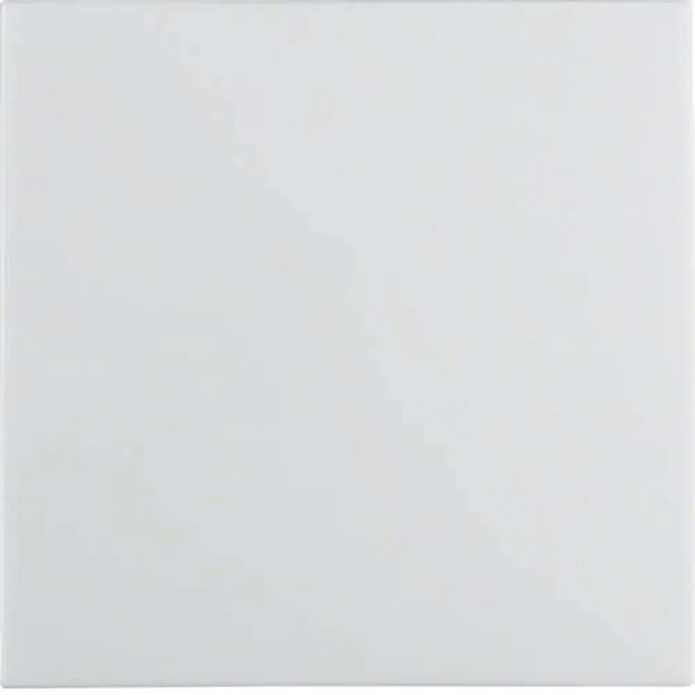 ÜHENE IMPULSSLÜLITI BERKER S.1 RAAMITA VALGE