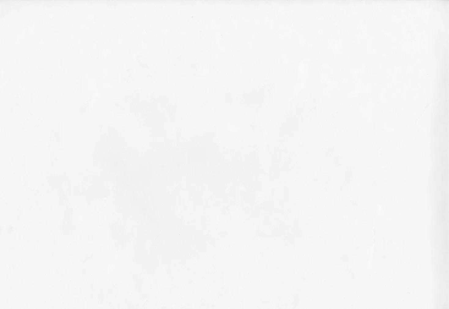 ALUSFLIIS VÄRVITAV SINTRA BASICVLIES 699997 1,06X25M