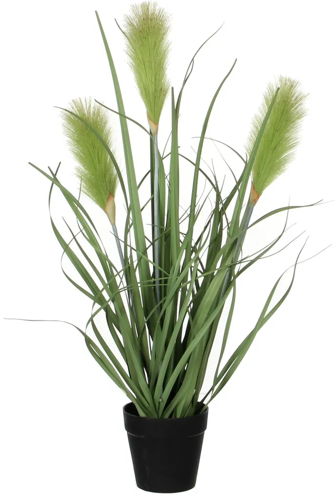 DEKORATIIVKÕRRELINE PILLIROOG Ø10CM POTIS H53CM ROHELINE