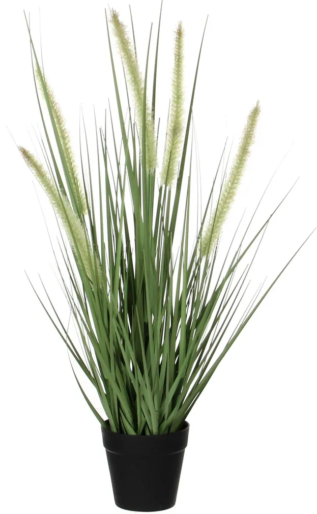 DEKORATIIVKÕRRELINE SUGAPEA Ø10CM POTIS H53CM ROHELINE