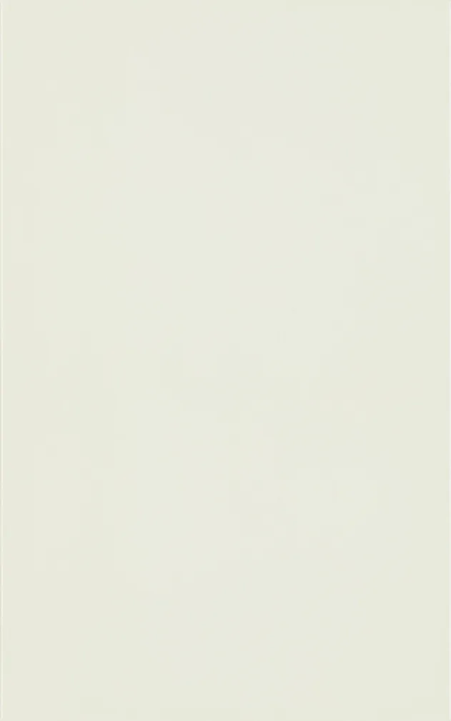 SEINAPLAAT MARTYNIKA MINT 25X40 1,3M2/PK