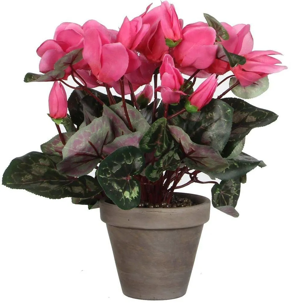 KUNSTLILL MICA DECORATIONS ALPIKANN Ø30X30CM POTIS Ø11,5CM HELEROOSA/HALL