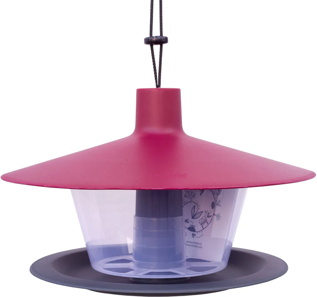 LINNUMAJA FINCH TUMEPUNANE