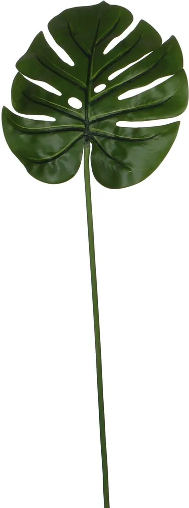 KUNSTTAIM MICA DECORATIONS MONSTERA LEHT 70CM ROHELINE