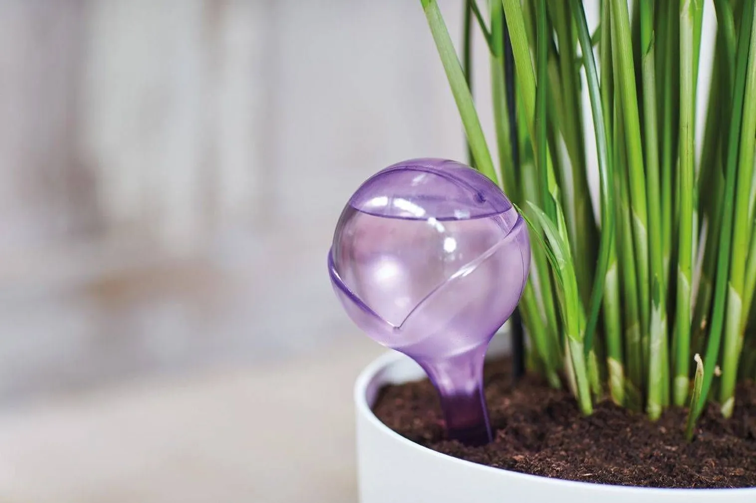 MULLA NIISUTAJA ELHO AQUA CARE LÄBIPAISTEV 2TK