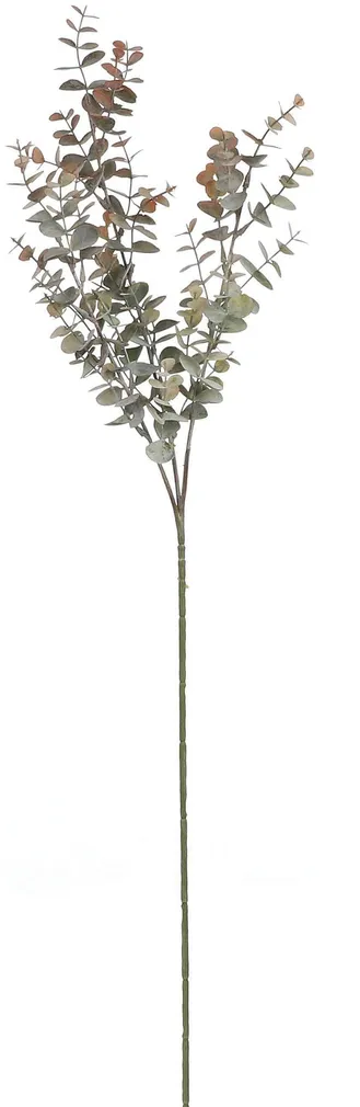 KUNSTTAIM SEASSPRING EUKALÜPT 65CM PRUUN