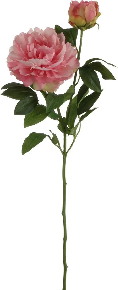 KUNSTLILL YEARROUND POJENG 62CM TUMEROOSA