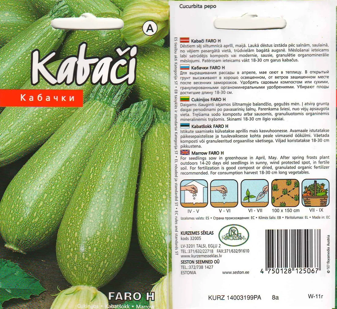 SEEMNED KURZEMES SEKLAS KABATŠOKK FARAO H 5 S