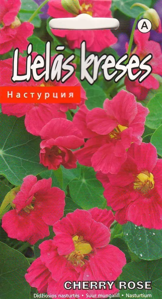 SEEMNED KURZEMES SEKLAS SUUR MUNGALILL CHERRY ROSE 3 G