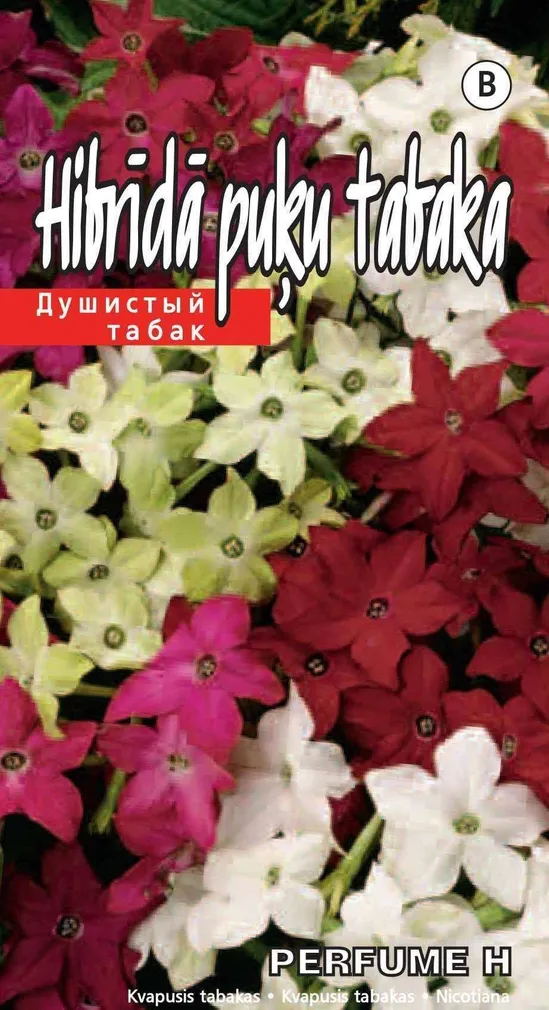 SEEMNED KURZEMES SEKLAS LILLTUBAKAS PERFUME F1 30 S