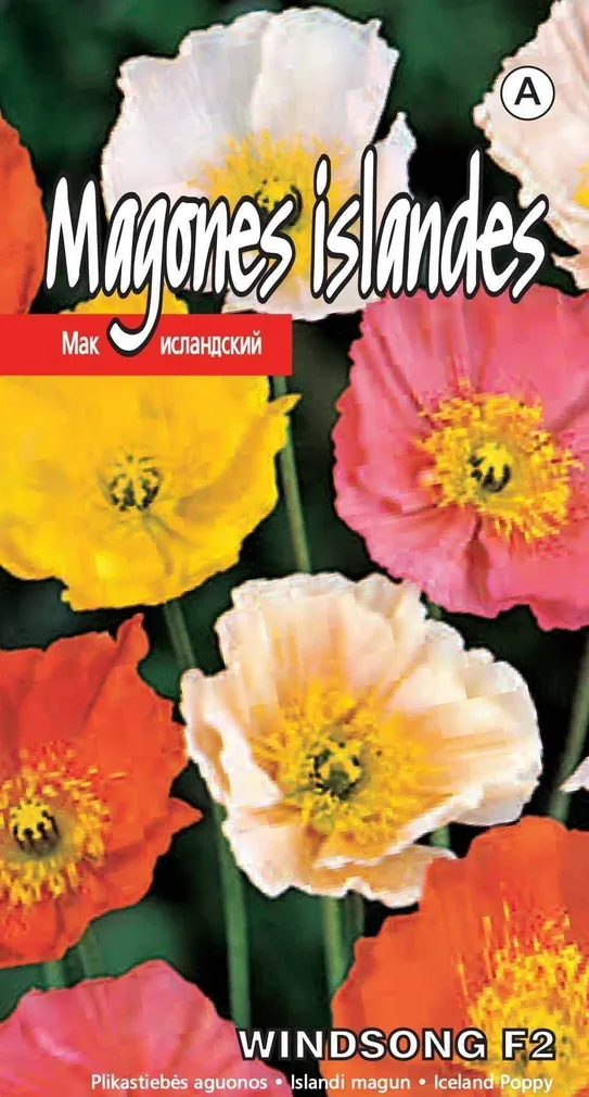 SEEMNED KURZEMES SEKLAS ISLANDI MAGUN WINDSONG F2 0,05 G
