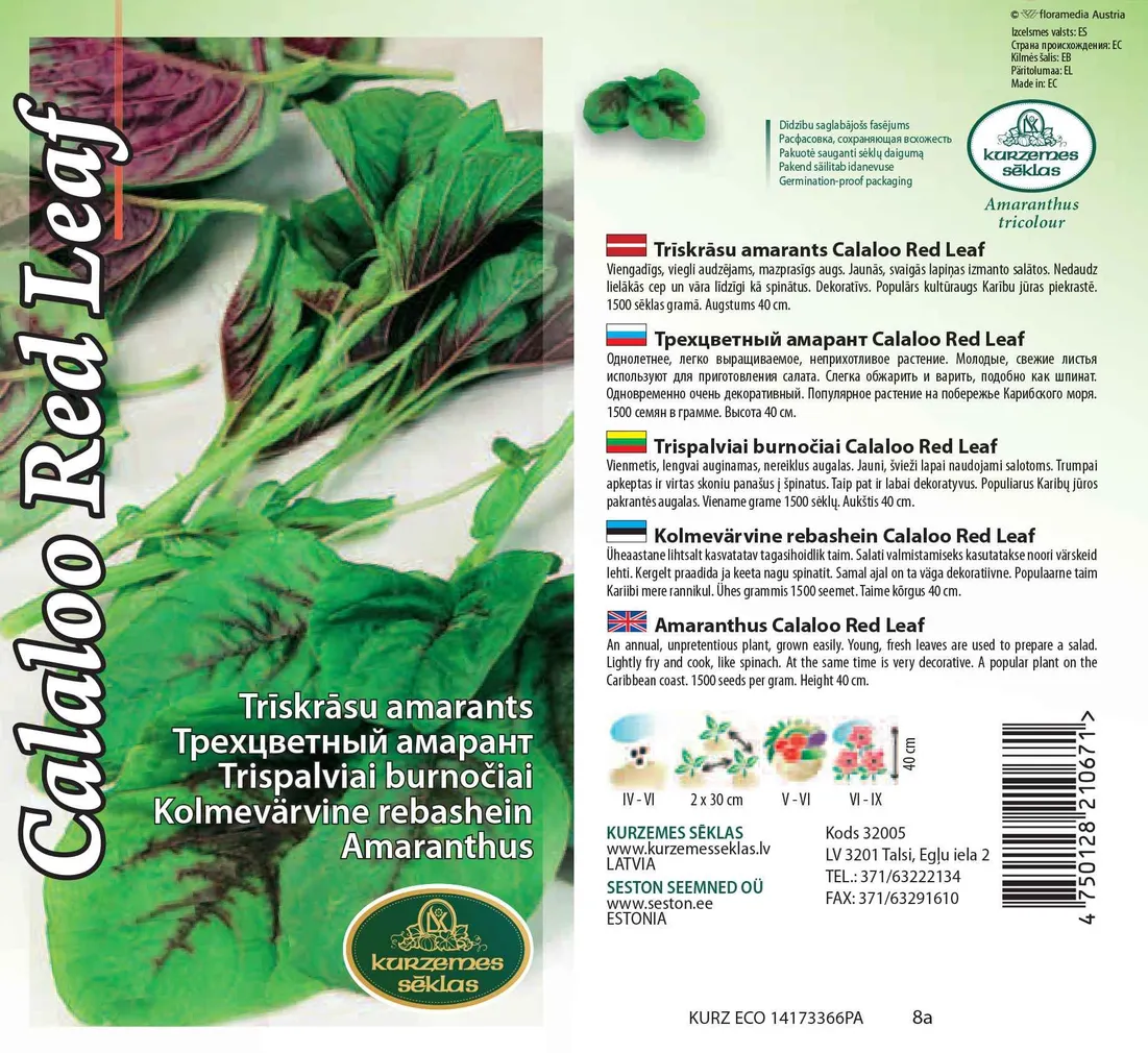 SEEMNED KURZEMES SEKLAS KOLMEVÄRVINE REBASHEIN CALALOO RED LEAF 1 G