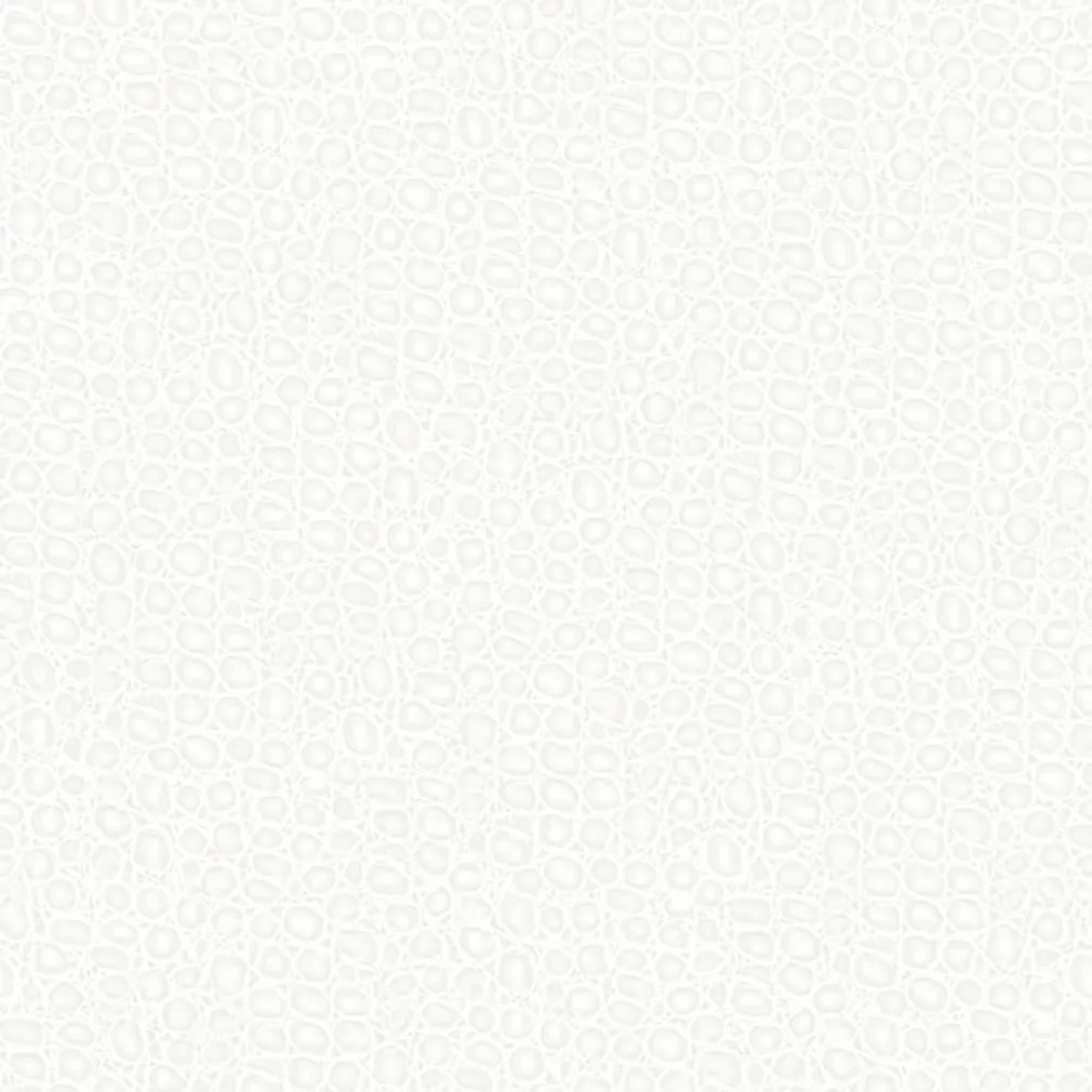 TAPEET 2ND SKIN 2S-01-08-R-2 0,53X10,05M