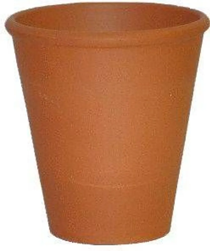 LILLEPOTT SPANG SAVI ROOS 10/12CM