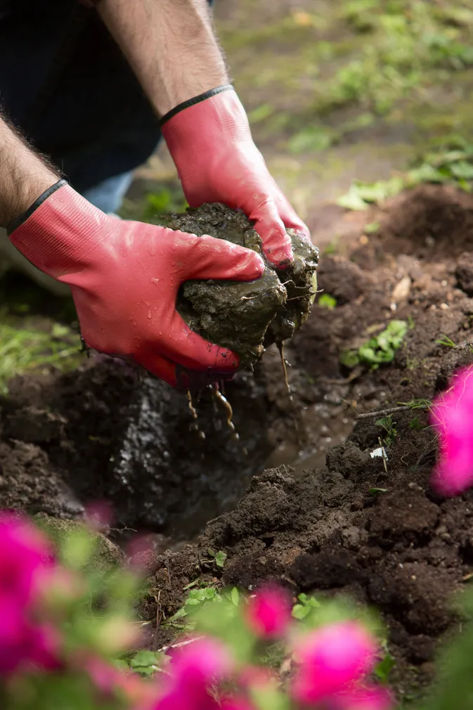 AIAKINDAD ROSTAING MAXIMA ARBUUSIPUNANE 8