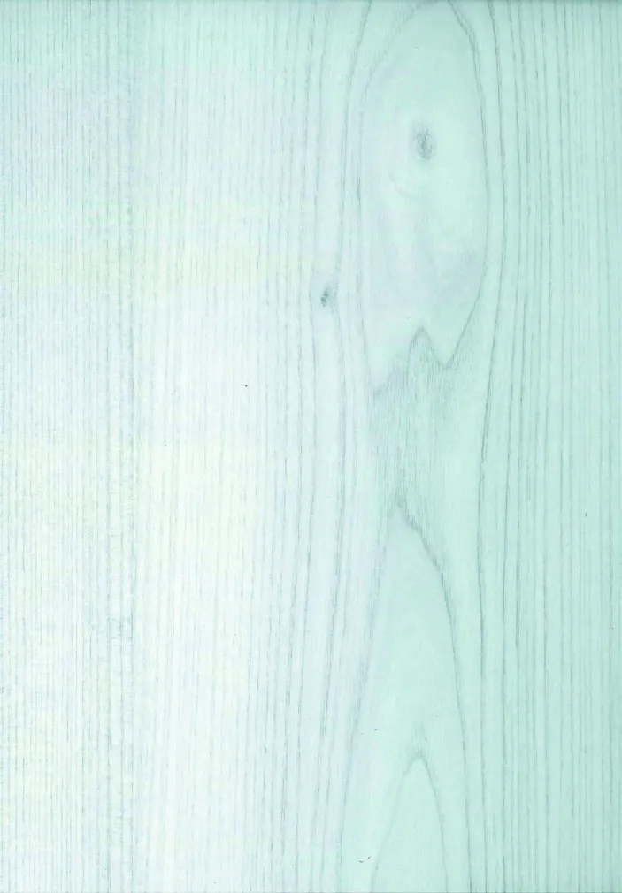 LAMINAATPARKETT ALSAPRO PRIMAFLOOR BANQUISE 7MM TAMM 1-LIPP