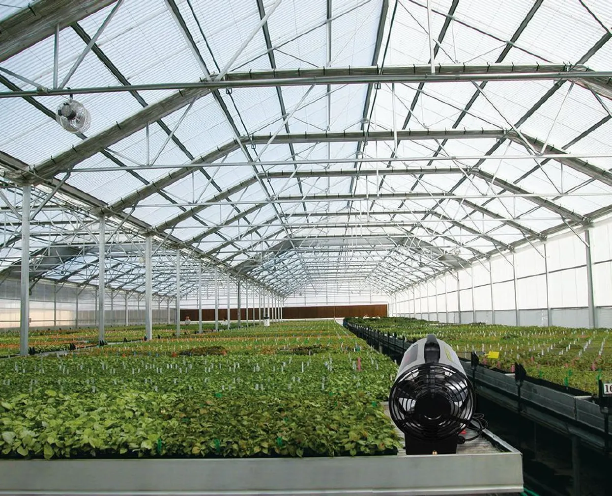 SOOJAPUHUR GAASITOITEGA ZB-G35T