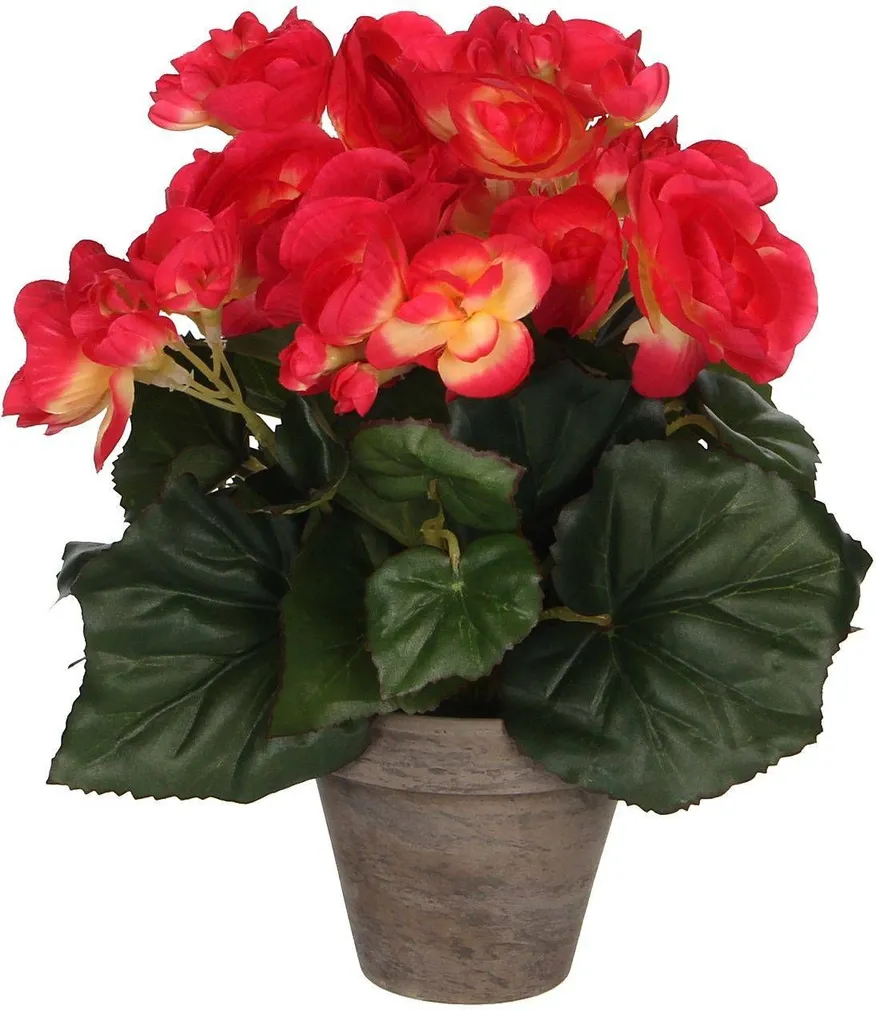 KUNSTLILL MICA DECORATIONS BEGOONIA Ø20X25CM POTIS Ø9CM TUMEROOSA