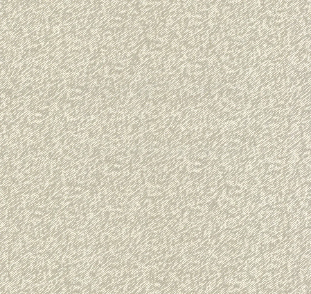 TAPEET DUTCH WALLCOVERINGS CASUAL CHIC UNI BEIGE 13337-40