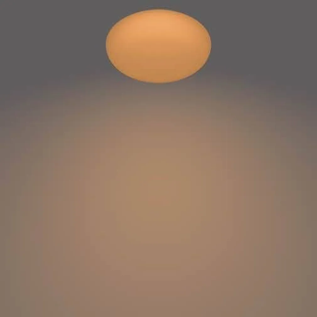 PLAFOON PHILIPS TOBA 23W LED 2800LM PULT