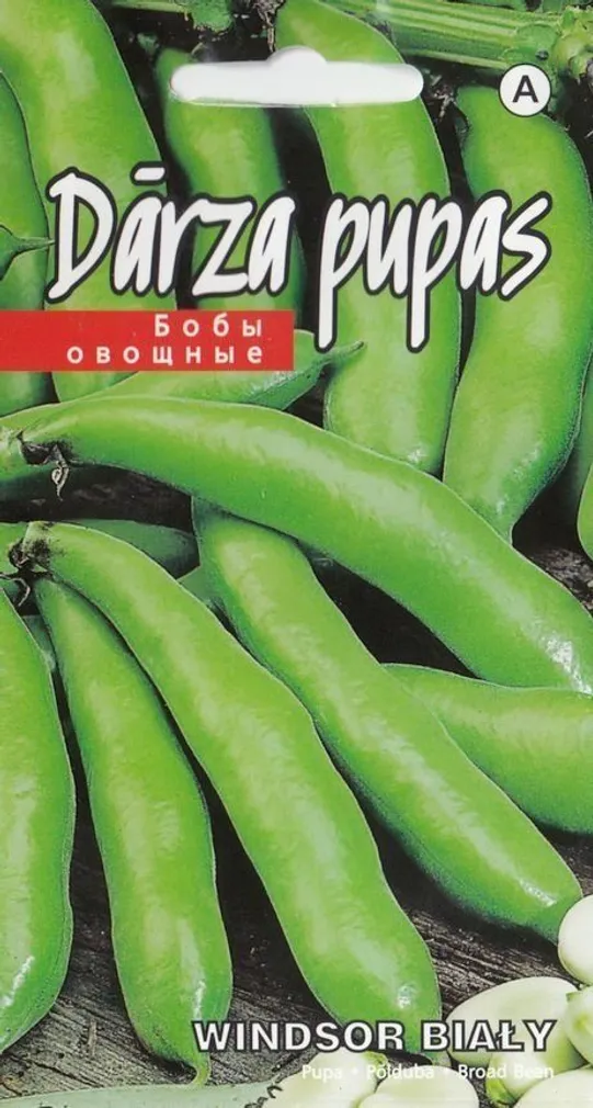 SEEMNED KURZEMES SEKLAS PÕLDUBA WINDSOR BIALY 15G