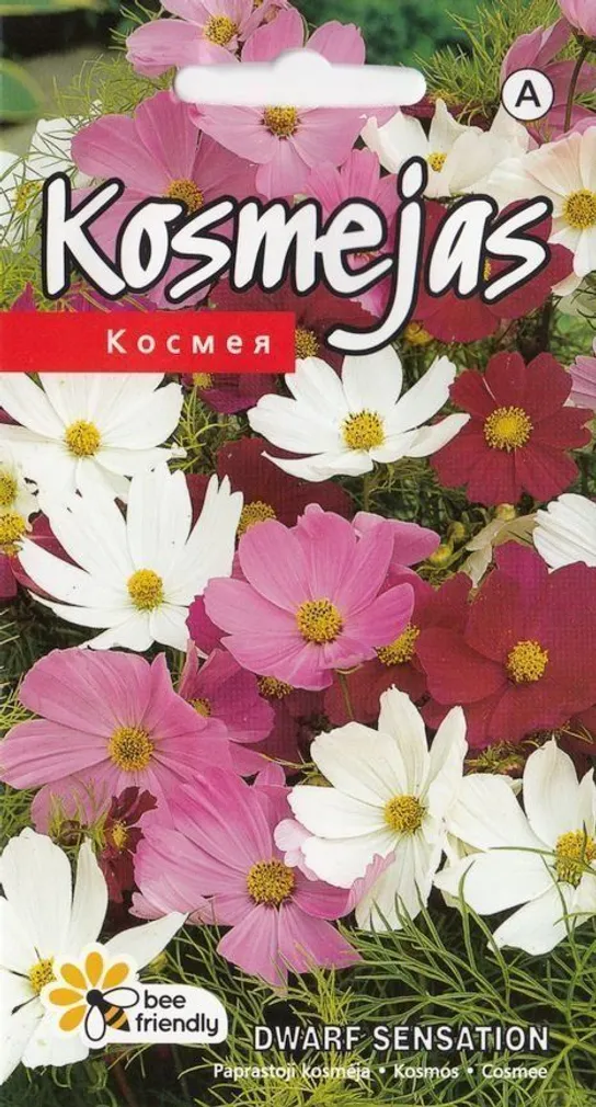 LILLESEEMNED KURZEMES SEKLAS KOSMOS DWARF SENSATION SEGU 0,5G