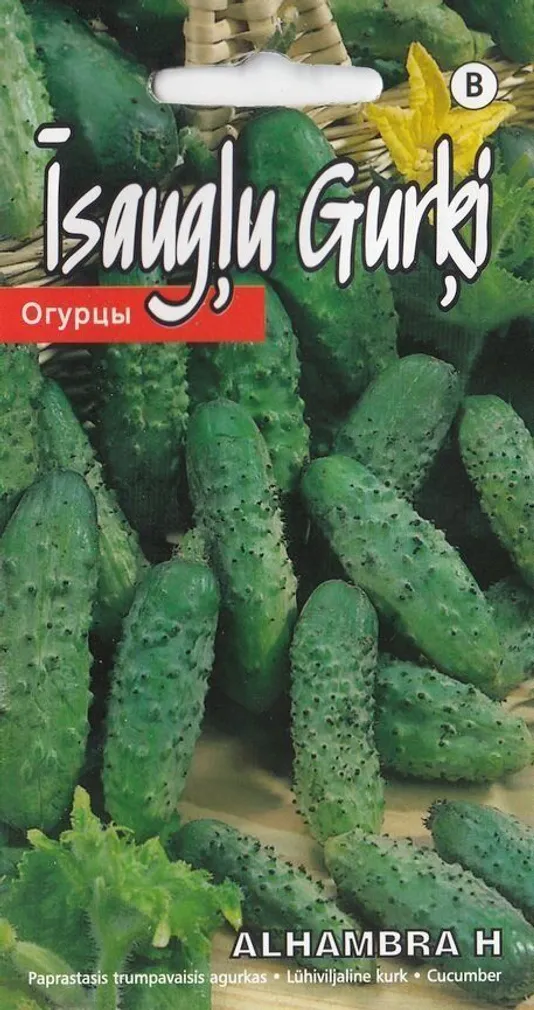 SEEMNED KURZEMES SEKLAS LÜHIVILJALINE KURK ALHAMBRA H 1G